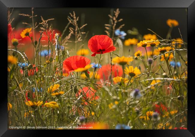 Poppies and meadow flowers Framed Print by Simon Johnson