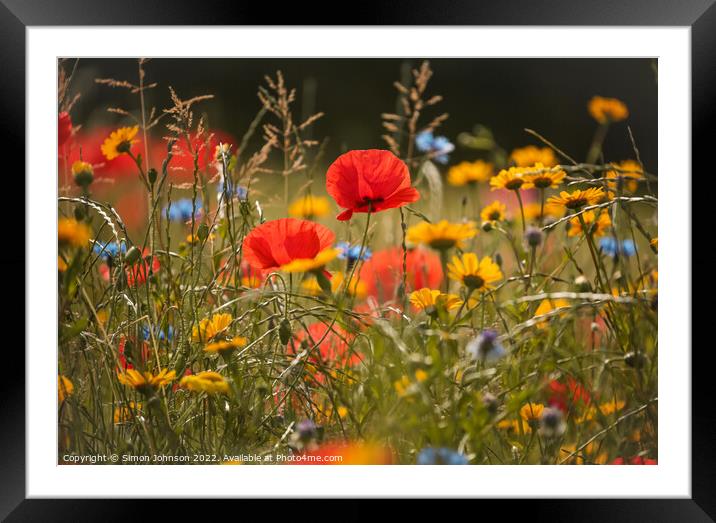 Poppies and meadow flowers Framed Mounted Print by Simon Johnson