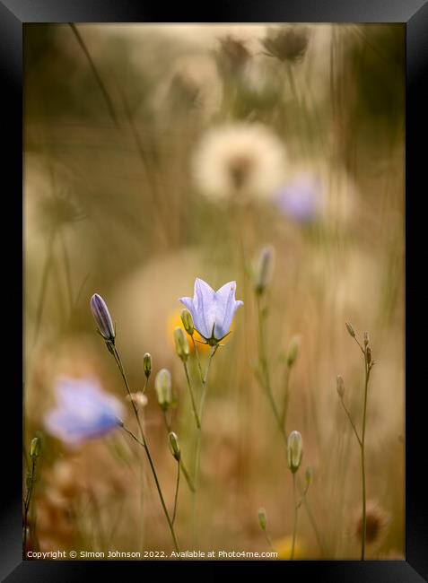 Plant flower Framed Print by Simon Johnson