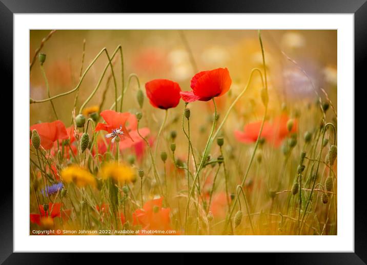twin poppies Framed Mounted Print by Simon Johnson