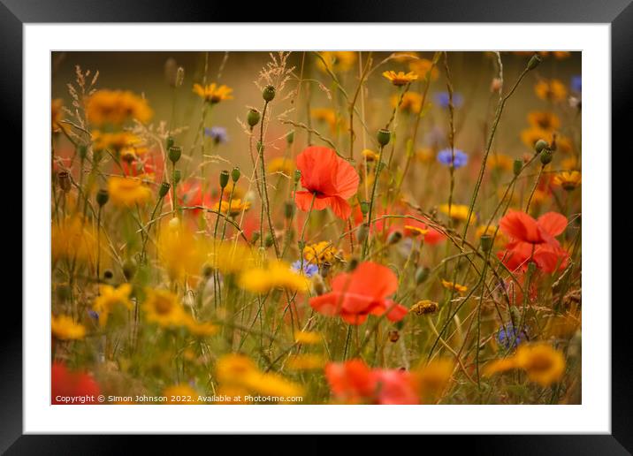 Poppies and meadow flowers  Framed Mounted Print by Simon Johnson