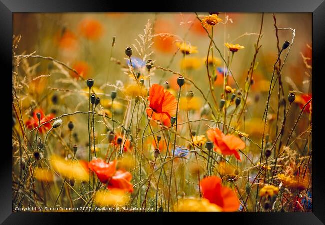 Poppies and meadow flowers  Framed Print by Simon Johnson