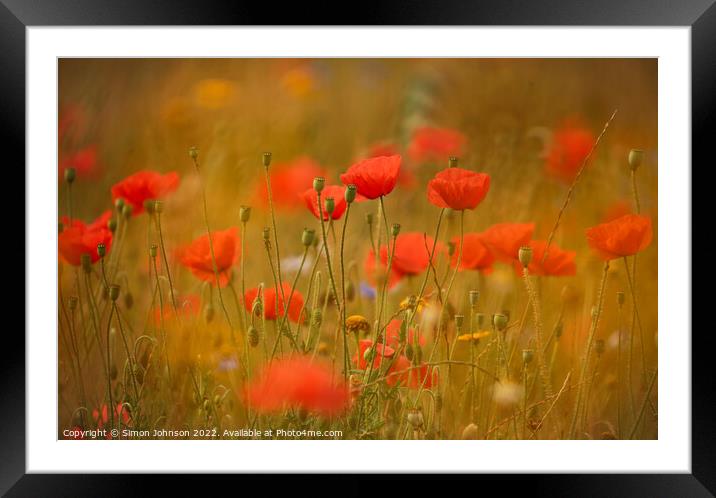 dreamy poppies Framed Mounted Print by Simon Johnson