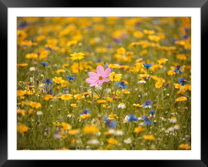 Meadow flowers  Framed Mounted Print by Simon Johnson