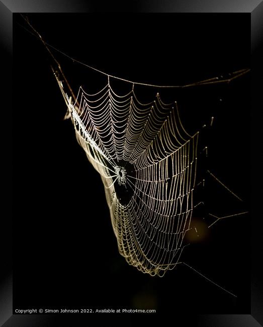 sunlit Cobweb Framed Print by Simon Johnson