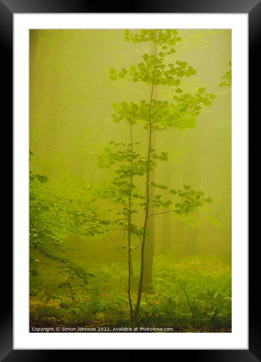  Mist Woodland Framed Mounted Print by Simon Johnson
