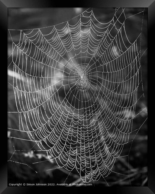spiders web Framed Print by Simon Johnson