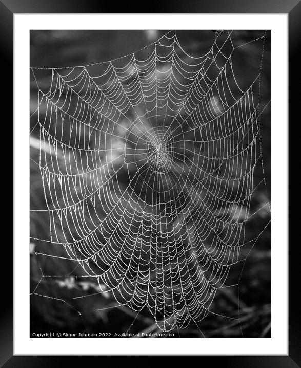 spiders web Framed Mounted Print by Simon Johnson