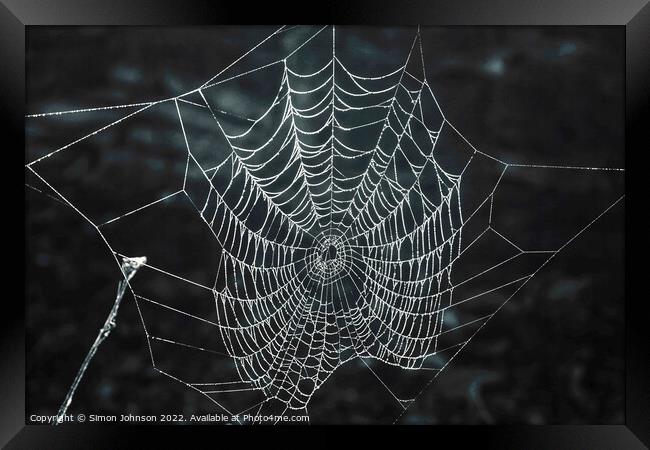 Spiders web  Framed Print by Simon Johnson