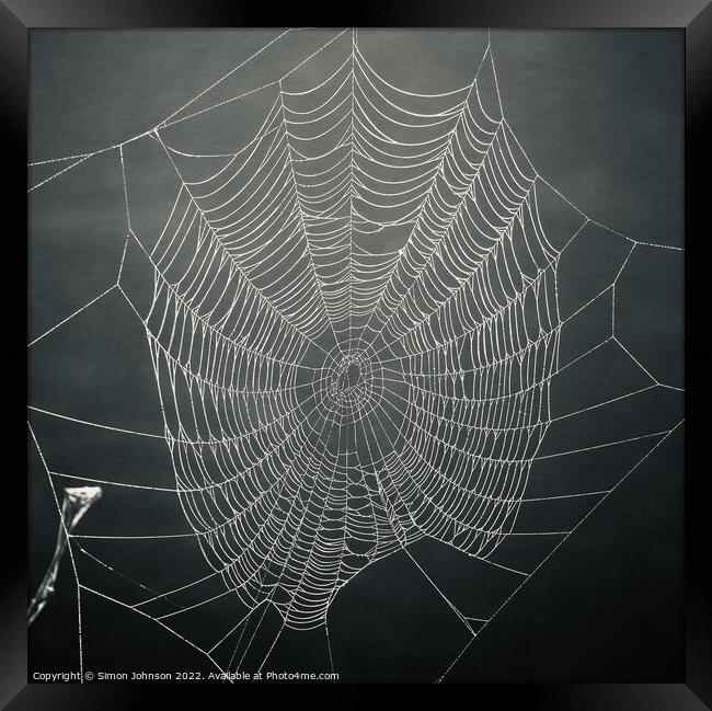 Spiders web  Framed Print by Simon Johnson