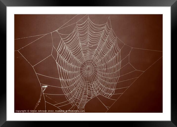 Spiders web Framed Mounted Print by Simon Johnson