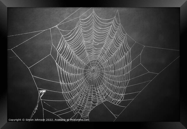 conweb Framed Print by Simon Johnson