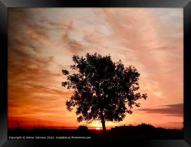 Tree silhouette at sunrise Framed Print by Simon Johnson