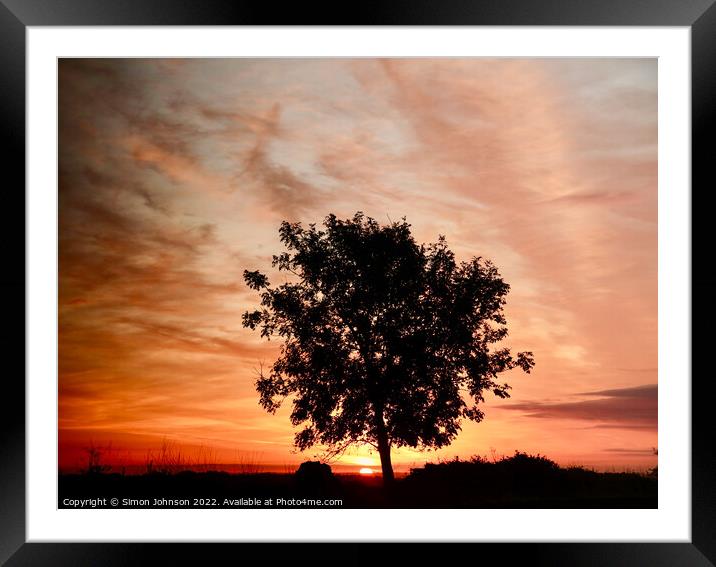 Tree silhouette at sunrise Framed Mounted Print by Simon Johnson
