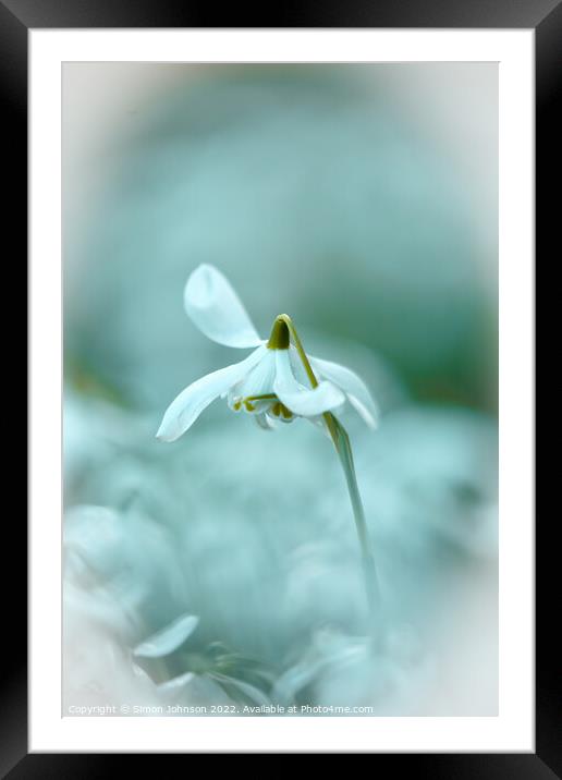 flying snowdrop Framed Mounted Print by Simon Johnson