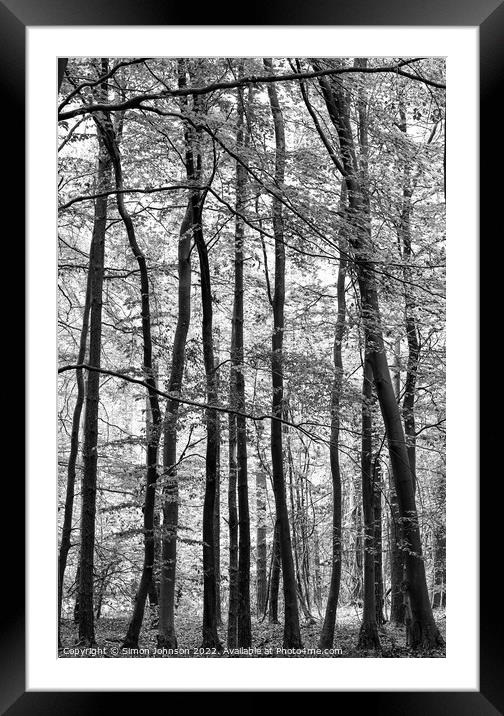 woodland in monochrome Framed Mounted Print by Simon Johnson