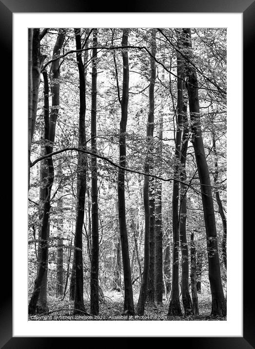 forest monochrome Framed Mounted Print by Simon Johnson