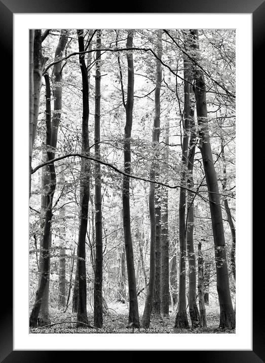 Trees Framed Mounted Print by Simon Johnson