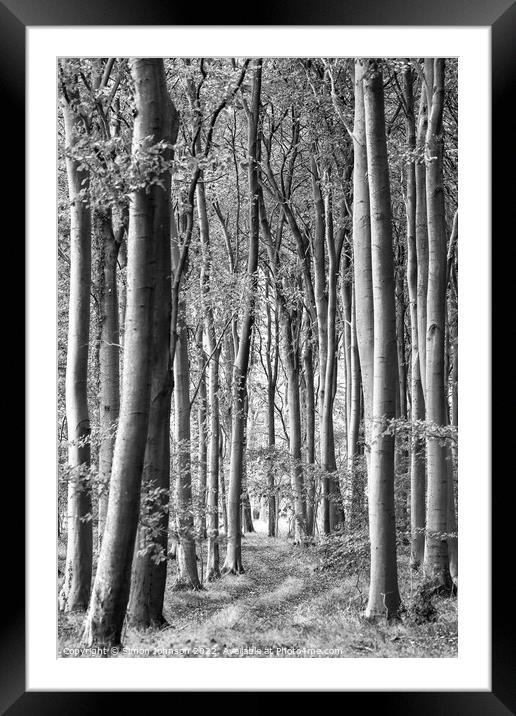 woodland scene in monochrome  Framed Mounted Print by Simon Johnson