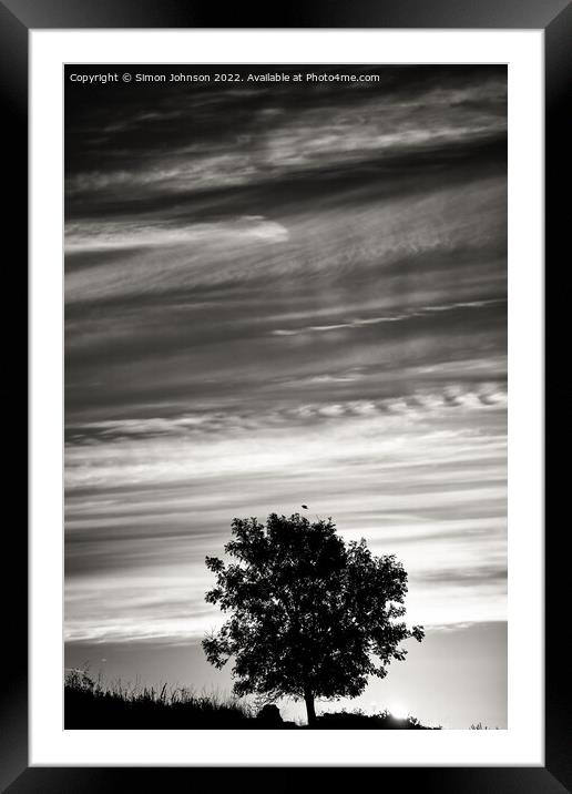 Tree silhouette and cloudscape Framed Mounted Print by Simon Johnson