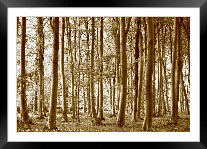 woodland Sepia Framed Mounted Print by Simon Johnson