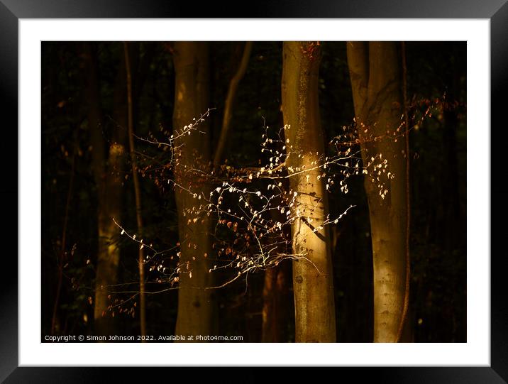 sunlit leaves Framed Mounted Print by Simon Johnson