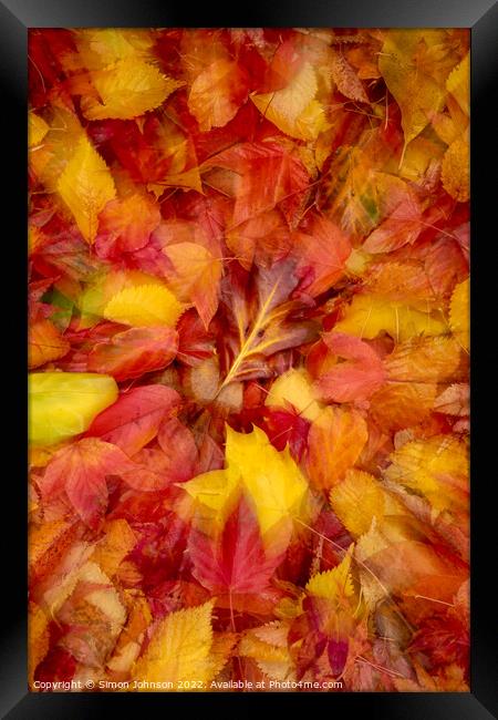 Autumn leaves Collage Framed Print by Simon Johnson