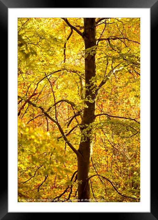 Tree profile Framed Mounted Print by Simon Johnson