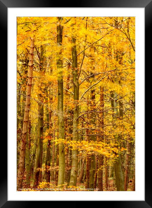 Wind blown autumn woodland Framed Mounted Print by Simon Johnson
