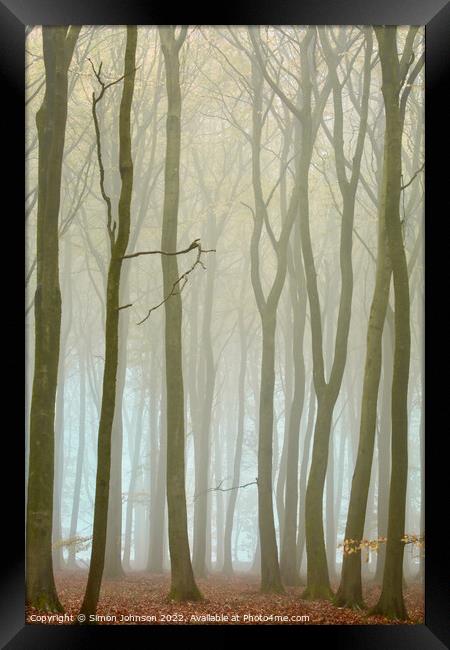 misty woodland Framed Print by Simon Johnson