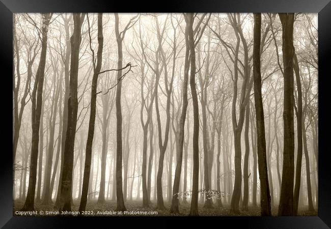 misty Beech woodland (trees) Framed Print by Simon Johnson