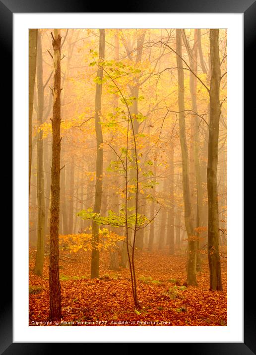 misty autumn woodland Framed Mounted Print by Simon Johnson
