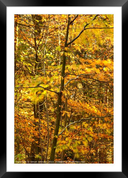 wind blown autumn leaves Framed Mounted Print by Simon Johnson