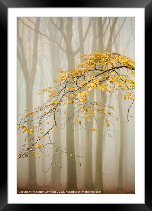 Misty woodland  Framed Mounted Print by Simon Johnson