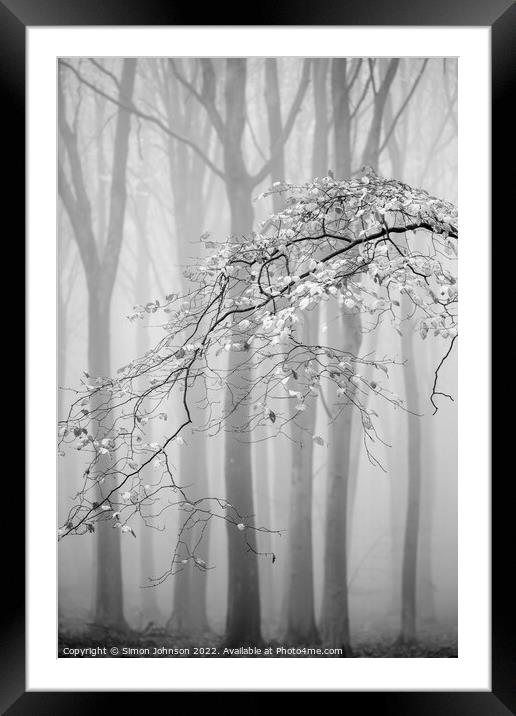 Misty woodland Monochrome  Framed Mounted Print by Simon Johnson