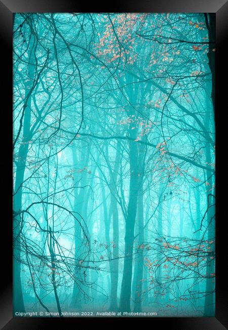 Misty woodland  Framed Print by Simon Johnson