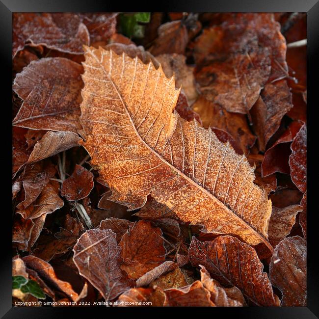 Frosted leaf Framed Print by Simon Johnson