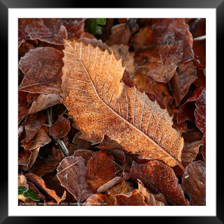 Frosted leaf Framed Mounted Print by Simon Johnson