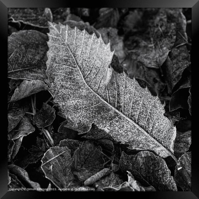 Frosted leaf  monochrome  Framed Print by Simon Johnson