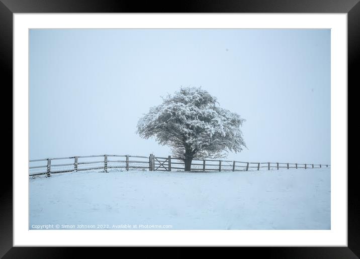 Frosted tree Framed Mounted Print by Simon Johnson