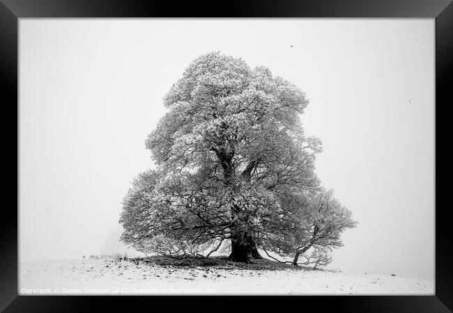 Frosted tr Framed Print by Simon Johnson