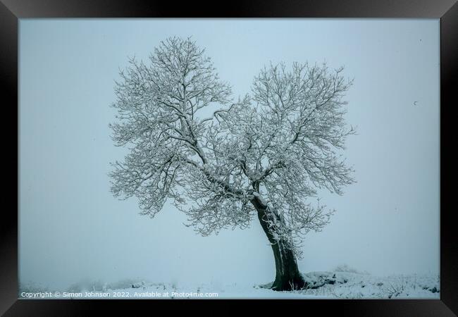 Frosted tree Framed Print by Simon Johnson