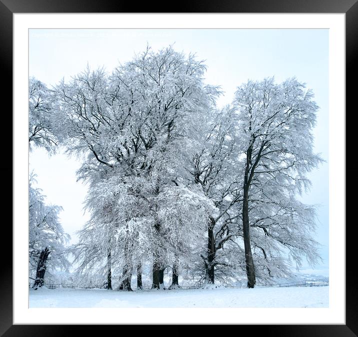 Hoar Frosted trees Framed Mounted Print by Simon Johnson