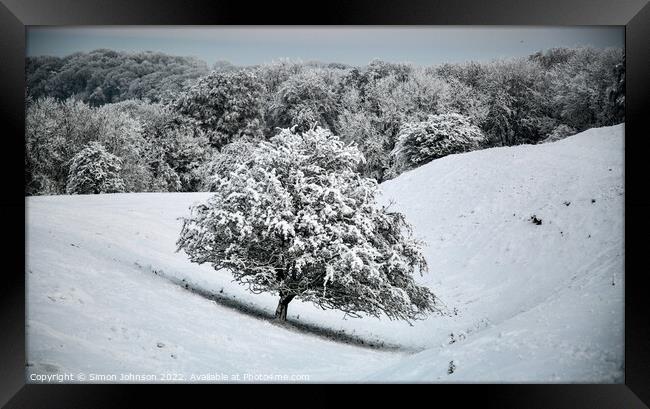 Plant tree Framed Print by Simon Johnson