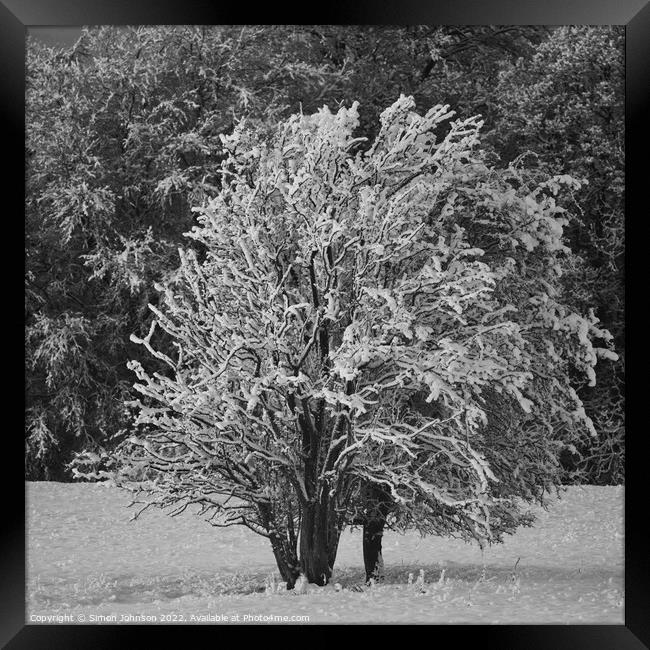 frosted tree Framed Print by Simon Johnson
