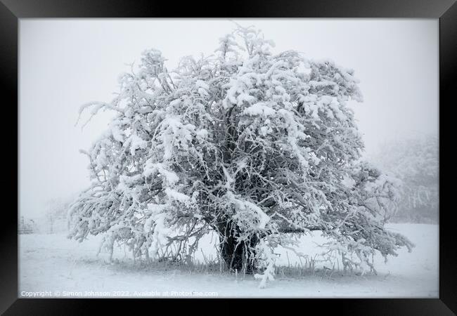 Frosted tree in monochrome  Framed Print by Simon Johnson