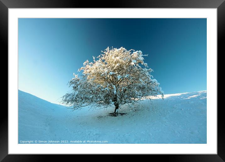 Frosted  tree Framed Mounted Print by Simon Johnson