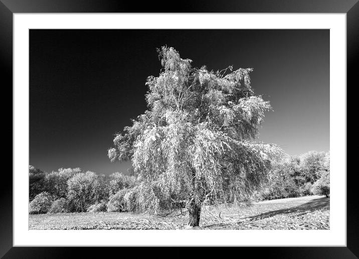 frosted trees Broadway Cotswolds Gloucestershire Framed Mounted Print by Simon Johnson