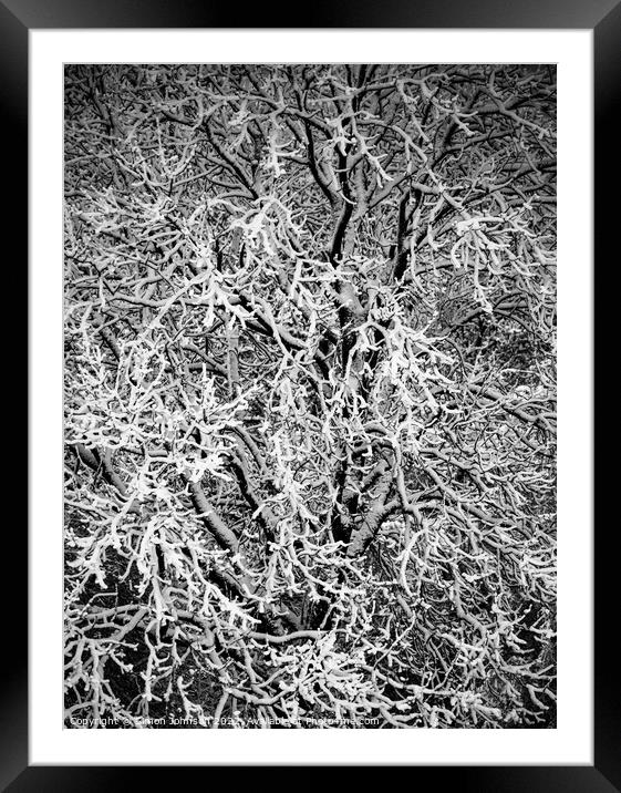 Hoar Frost Framed Mounted Print by Simon Johnson