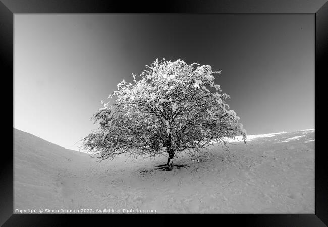Frosted tree in Monochrome Framed Print by Simon Johnson